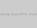 Anti-p57Kip2 Antibody Clone KP10, Unconjugated-100ug